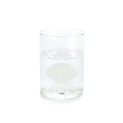 Balvi Vaso Atlantis Shell 300 ml