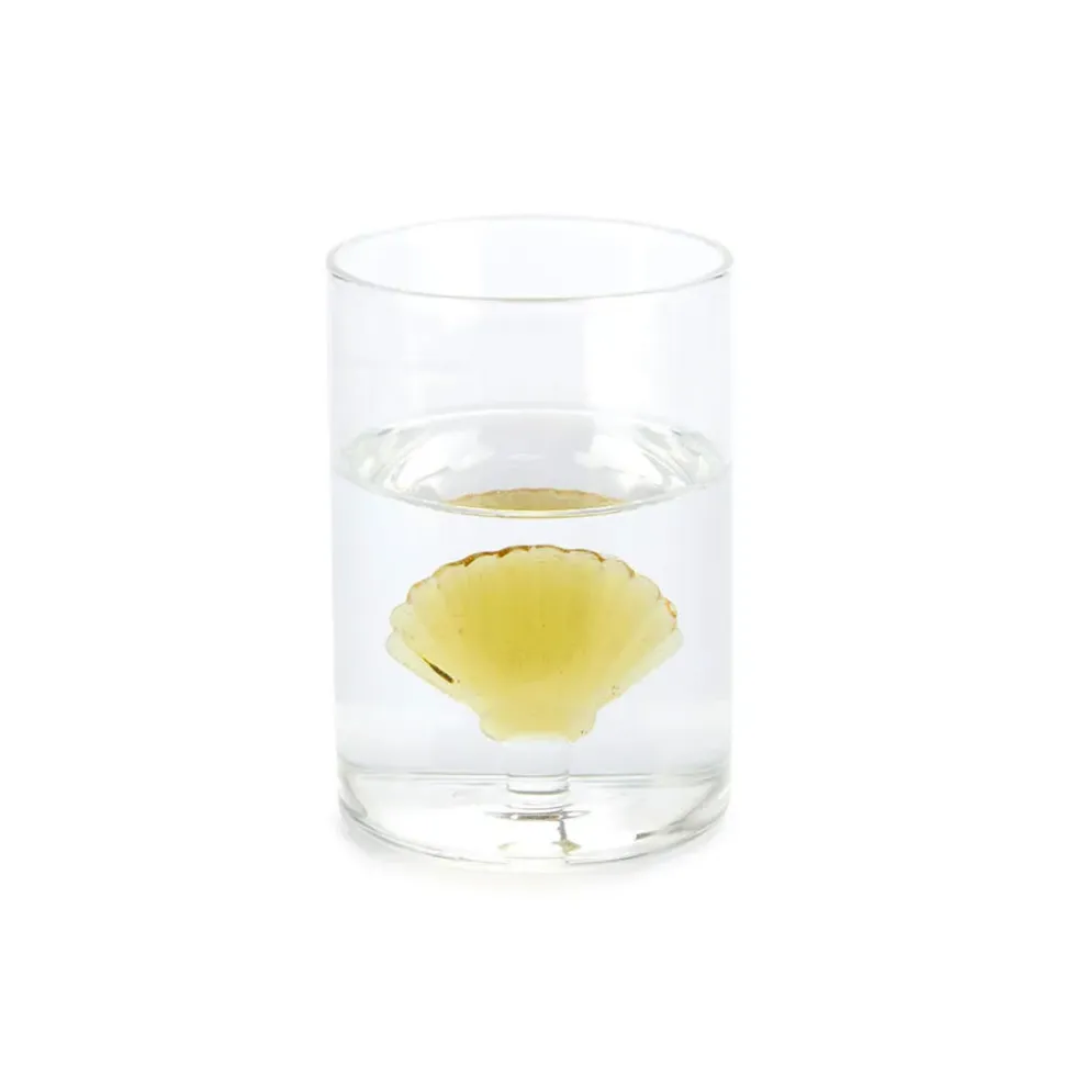 Balvi Vaso Atlantis Shell 300 ml