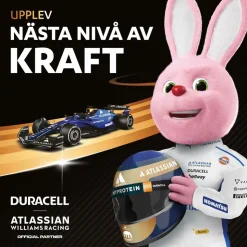 Duracell Pilas alcalinas AAA Plus Power Boost DPBLR3B12 1.5V 12 unidades