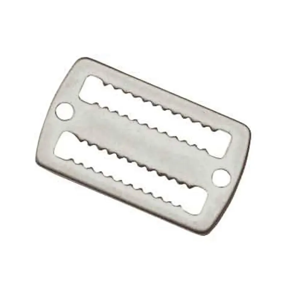Ist Dolphin Tech Hebilla Teeth Stainless Steel 50 mm