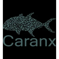 Kruskis Sudadera con capucha Caranx Two-Colour