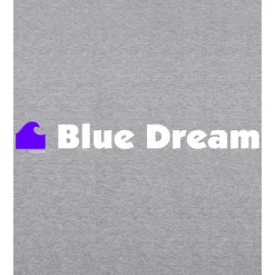 Kruskis Sudadera con capucha Blue Dream Two-Colour