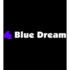 Kruskis Sudadera con capucha Blue Dream Two-Colour