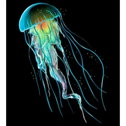 Kruskis Sudadera con capucha Jellyfish