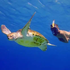 Ocean Reef Máscara de snorkel Aria QR+