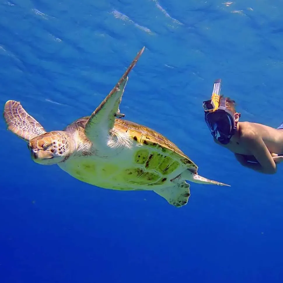 Ocean Reef Máscara de snorkel Aria QR+