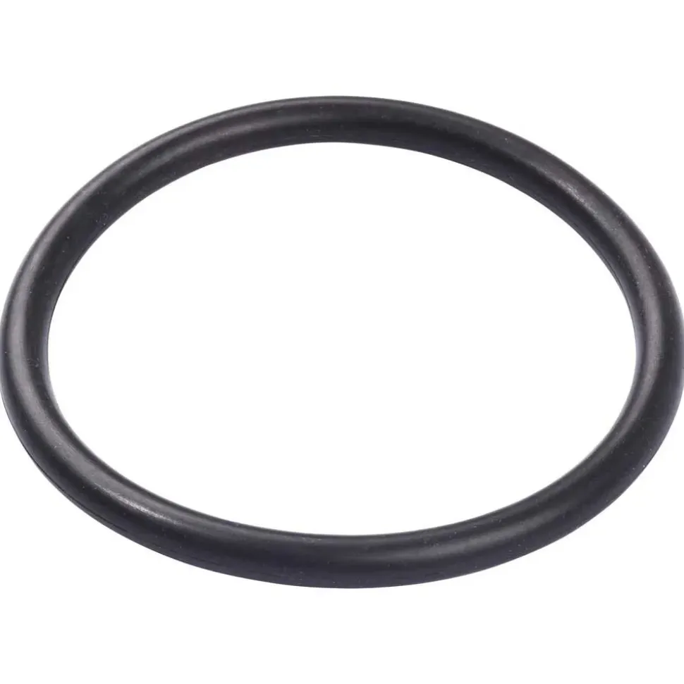 OMS Bolsillo de lastre O-Ring To Keep D-Rings At Weighs Vertical