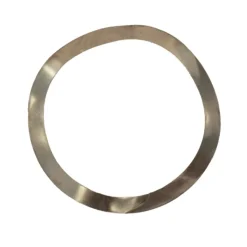 OMS Válvula p Wave Spring Washer