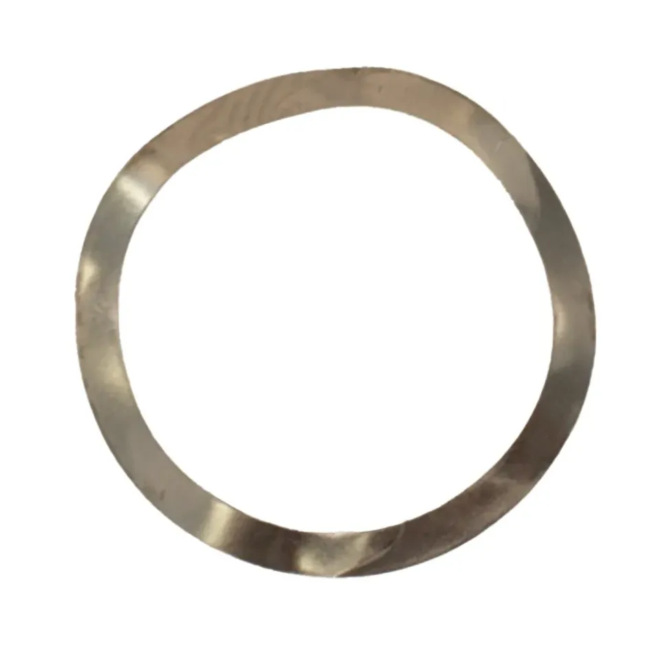 OMS Válvula p Wave Spring Washer