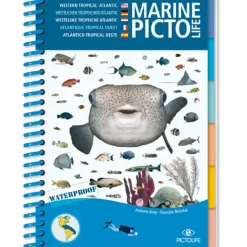 Pictolife Guía Caribean Marine