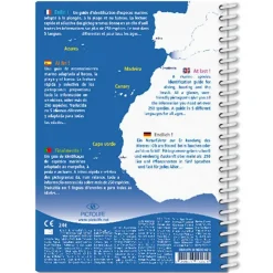 Pictolife Guía Marine Eeastern Atlantic