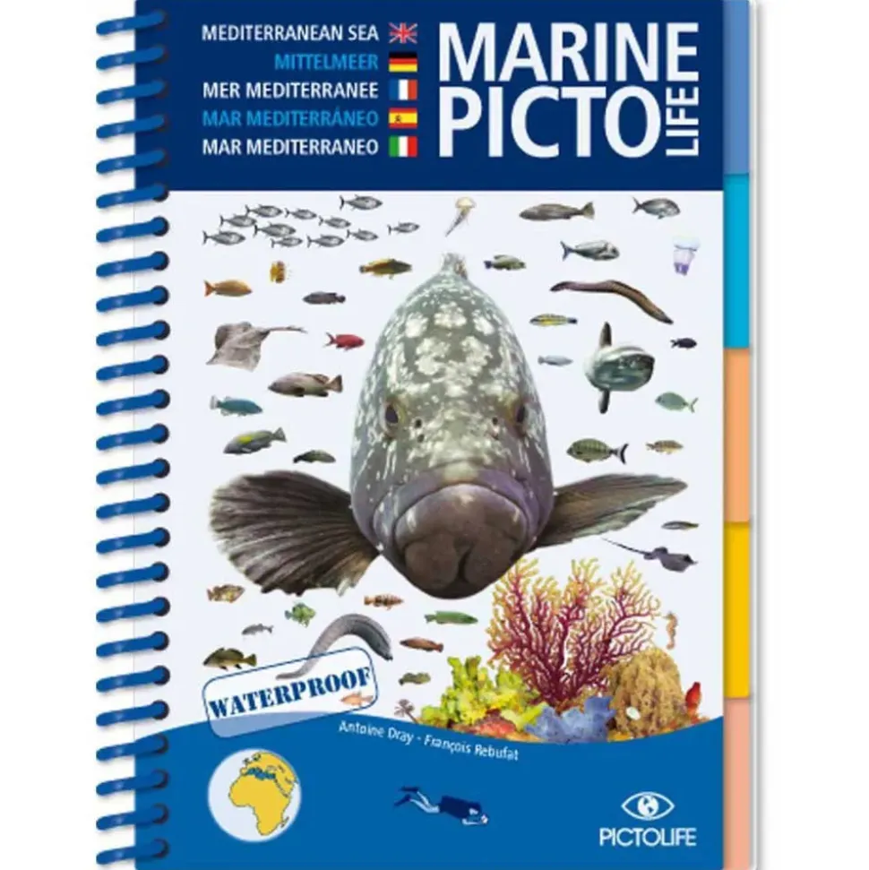 Pictolife Guía Mediterranean Marine