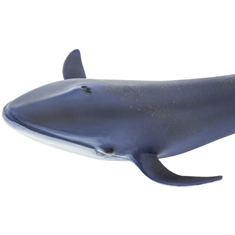 Safari Ltd Figura Blue Whale