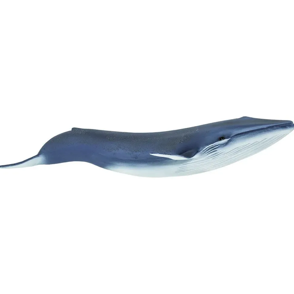 Safari Ltd Figura Blue Whale