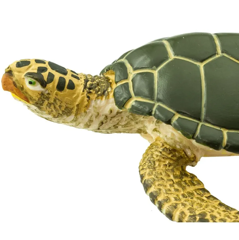 Safari Ltd Figura Green Sea Turtle Wildlife