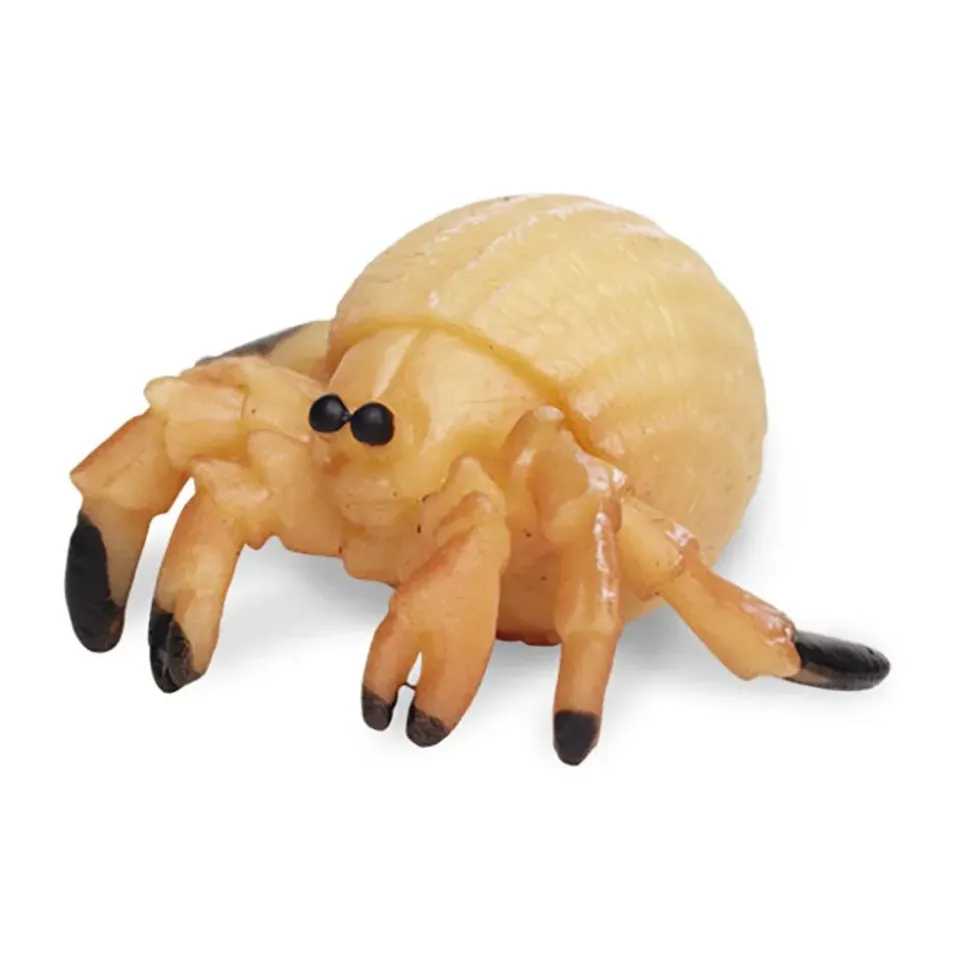 Safari Ltd Figura Hermit Crabs Good Luck Minis