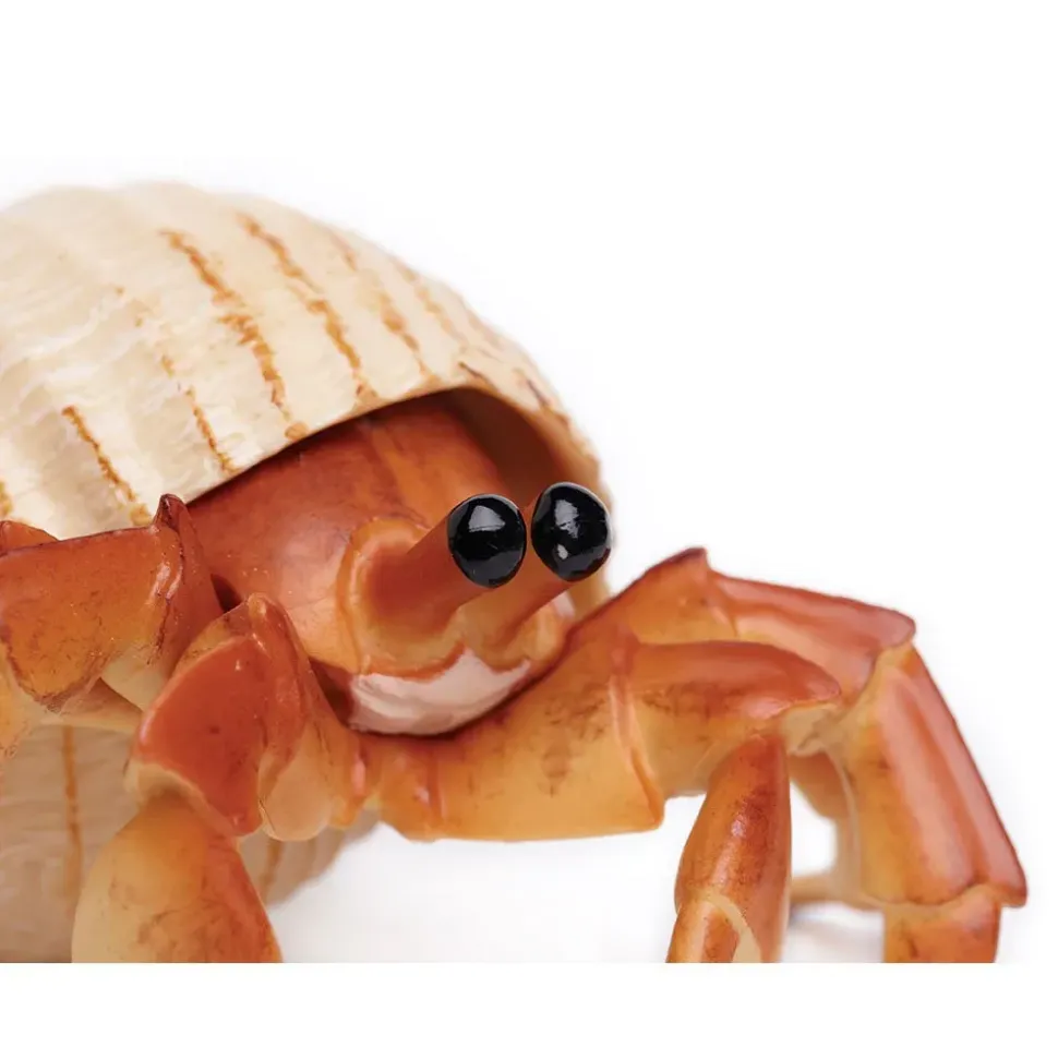 Safari Ltd Figura Hermit Crab