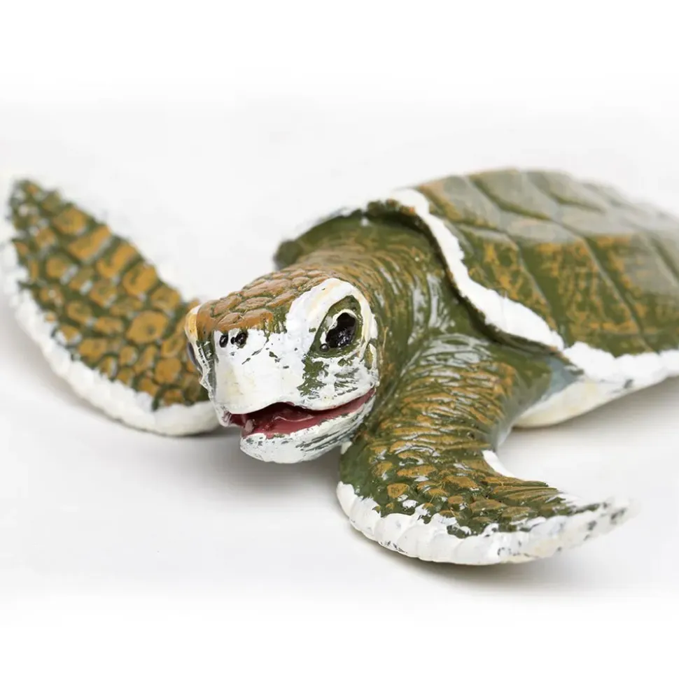 Safari Ltd Figura Kemps Ridley Sea Turtle Baby