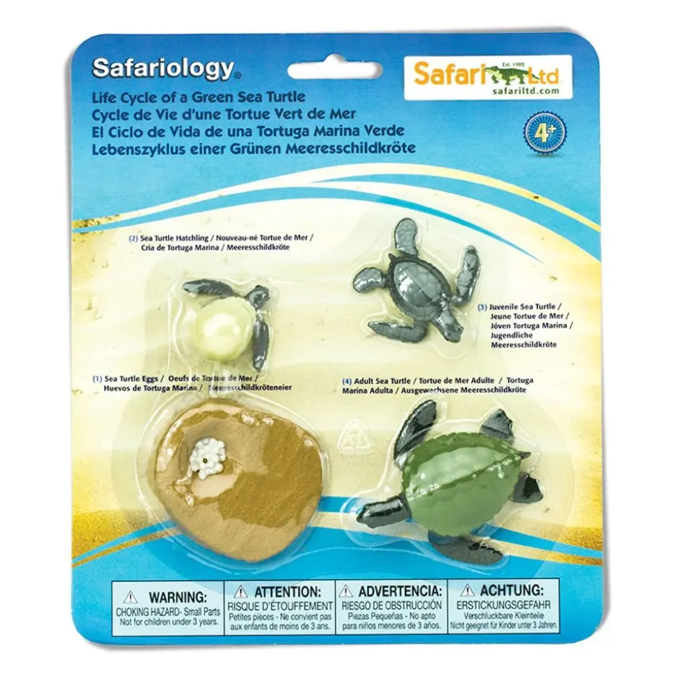 Safari Ltd Figura Life Cycle Of A Green Sea Turtle