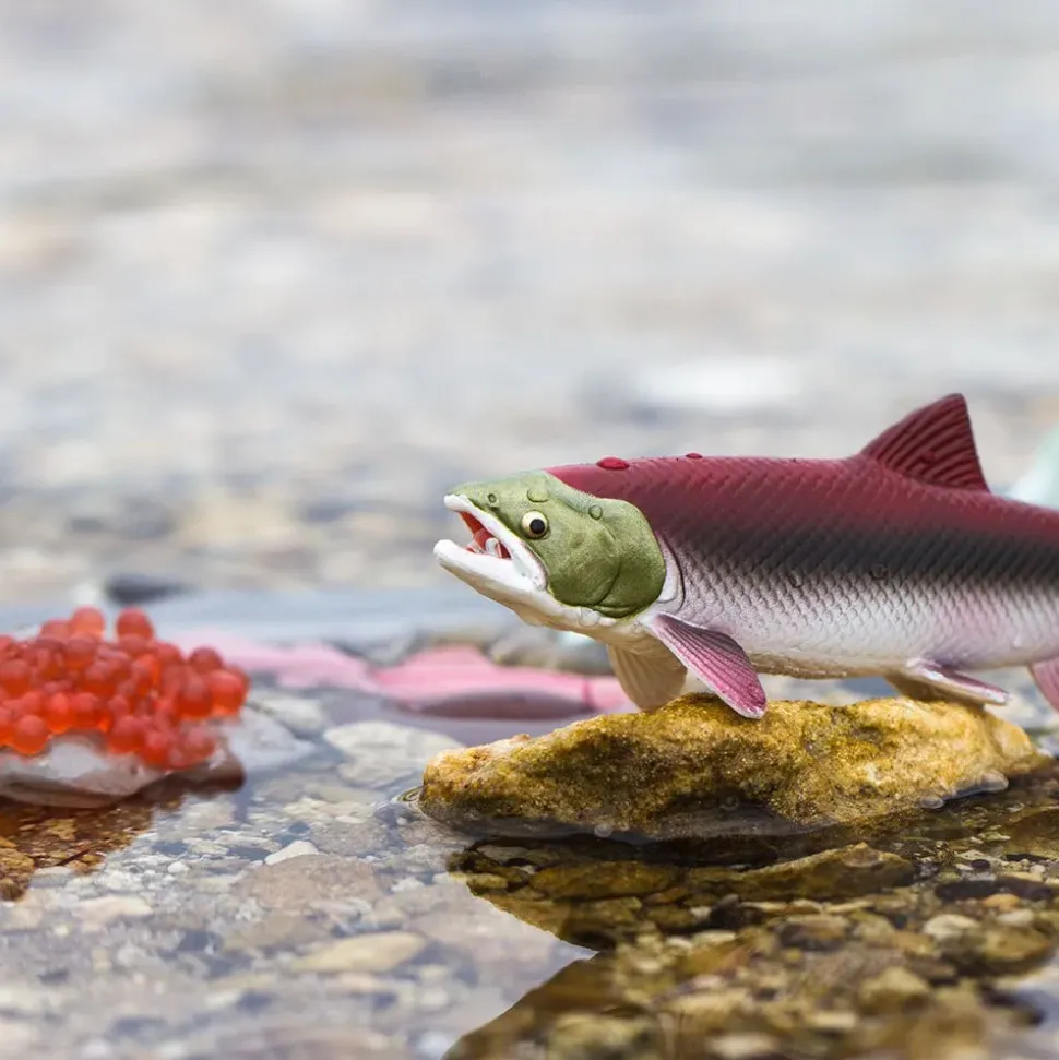 Safari Ltd Figura Life Cycle Salmon