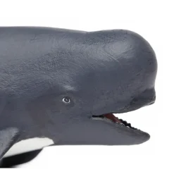 Safari Ltd Figura Pilot Whale