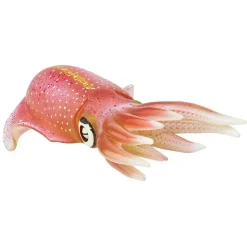 Safari Ltd Figura Reef Squid
