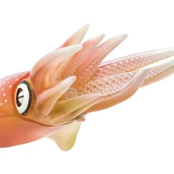Safari Ltd Figura Reef Squid