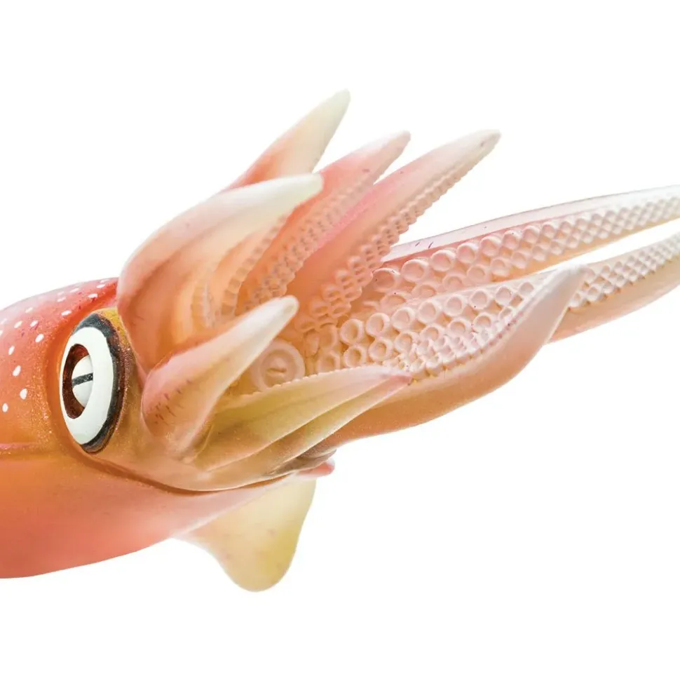 Safari Ltd Figura Reef Squid