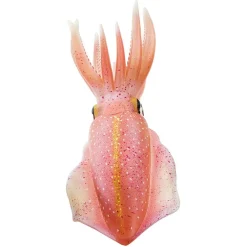 Safari Ltd Figura Reef Squid