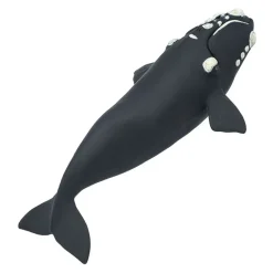 Safari Ltd Figura Right Whale
