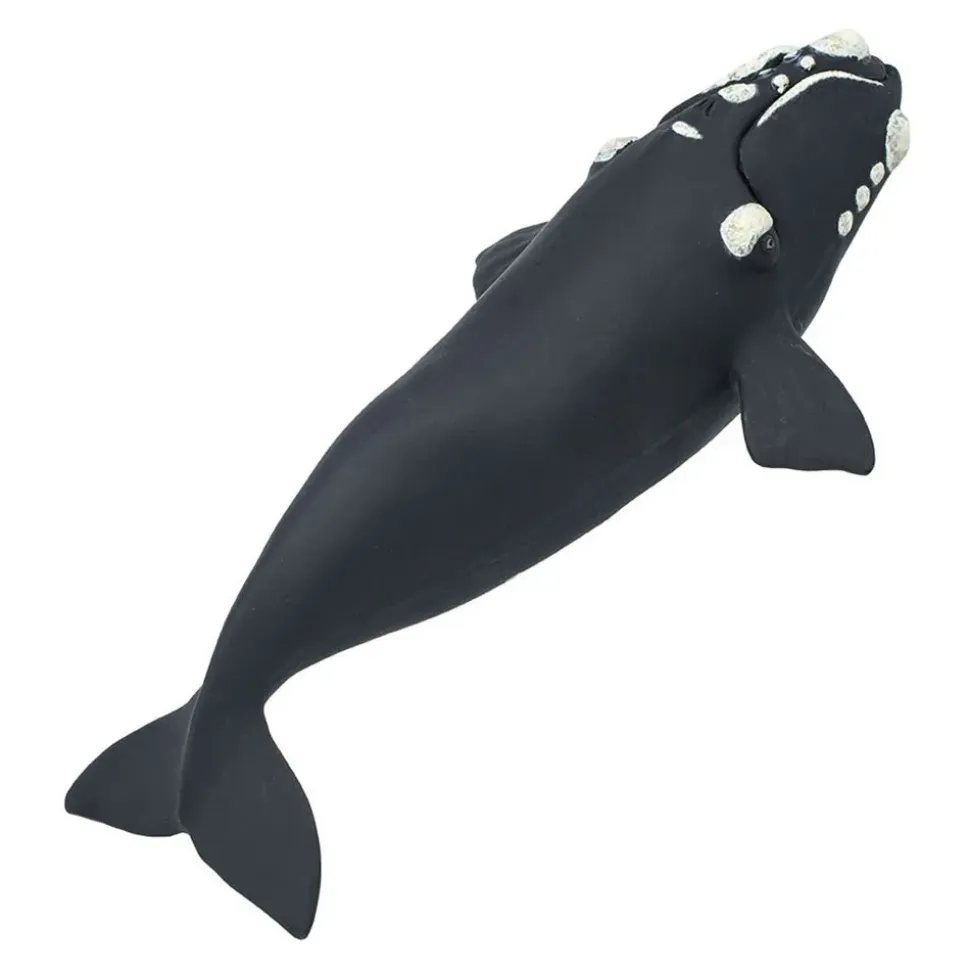 Safari Ltd Figura Right Whale