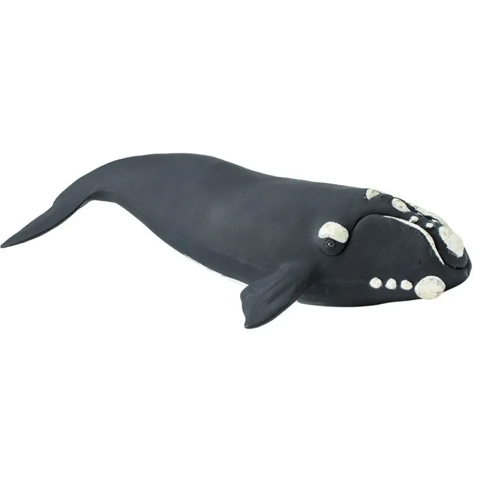 Safari Ltd Figura Right Whale