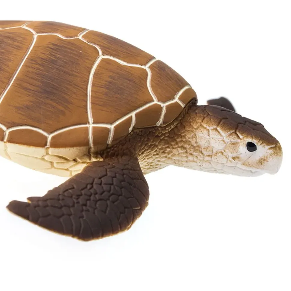 Safari Ltd Juguete de tortuga verde marina