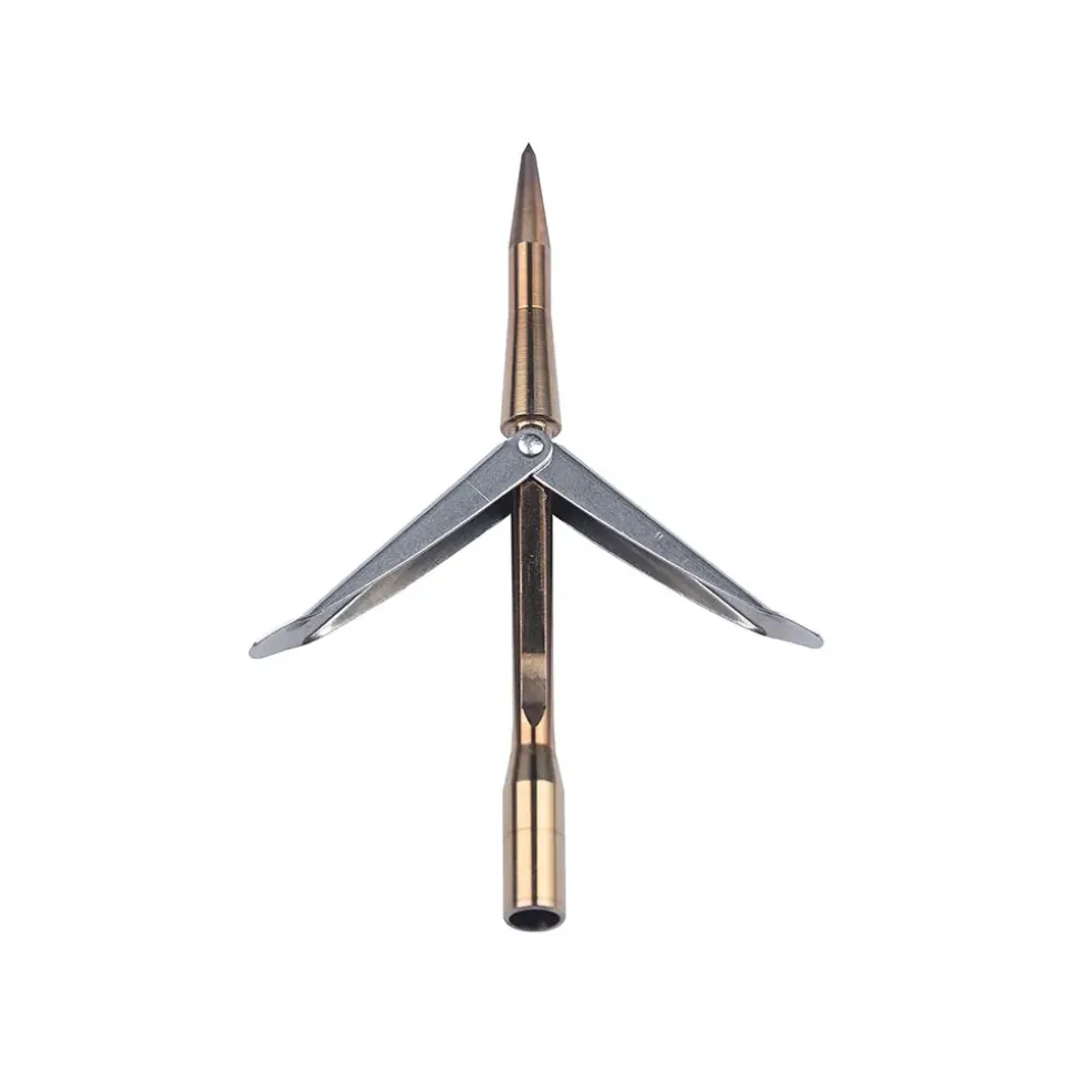 Salvimar Punta Raptor