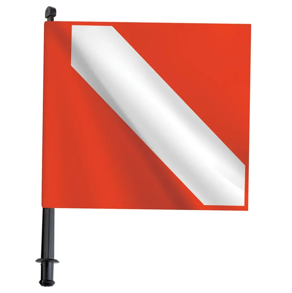 SEAC Bandera del personal