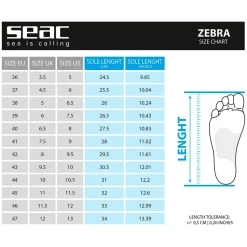 SEAC Chanclas Zebra
