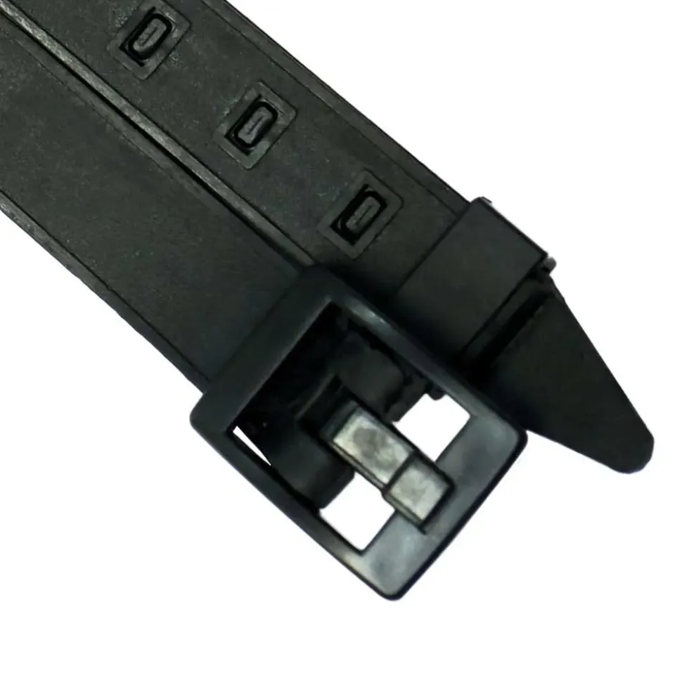 Tecnomar Correa con hebilla Nylon